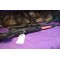 Savage 110 6.5 creedmore LEFT HAND Bolt 